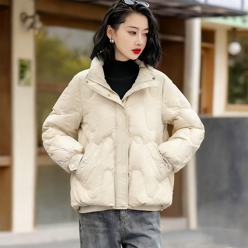 Down cotton jacket women 2026  - Winter Clothing Colors 2026 ulasan dan harga