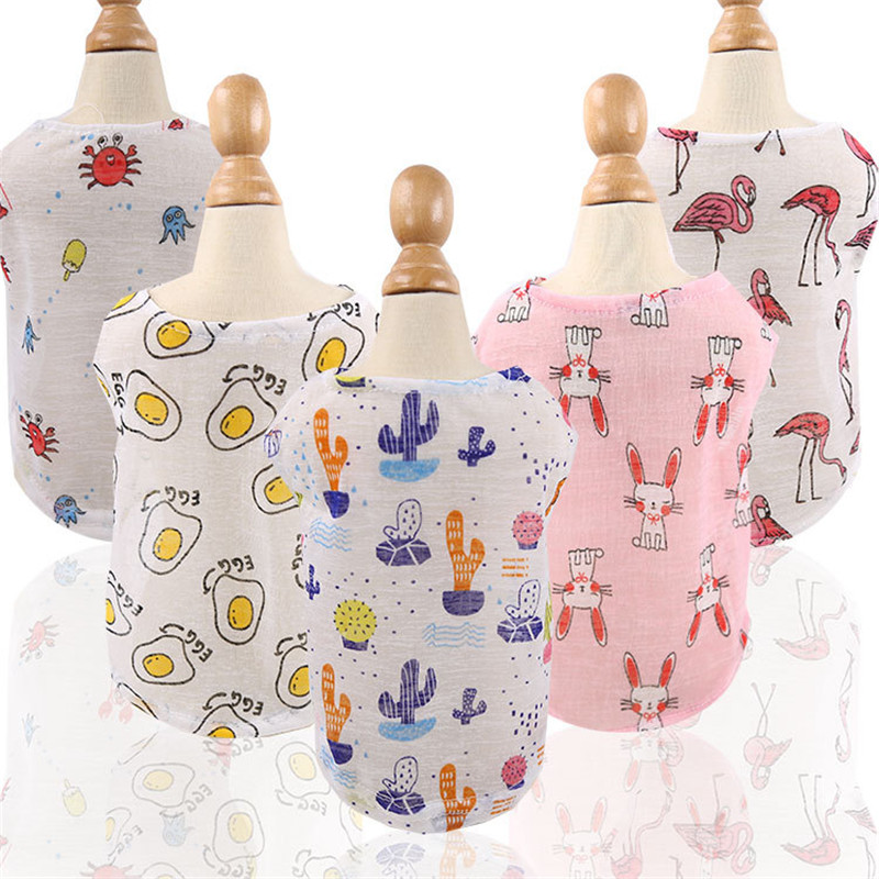 5 Colors Summer Lovely Cartoon - Winter Clothing Colors ulasan dan harga