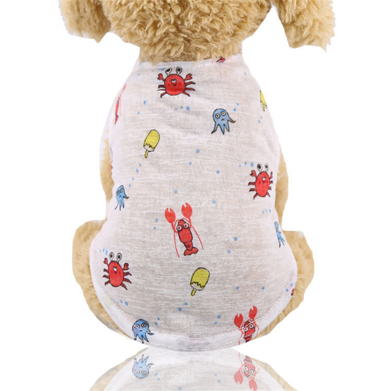 5 Colors Summer Lovely Cartoon - Winter Clothing Colors ulasan dan harga